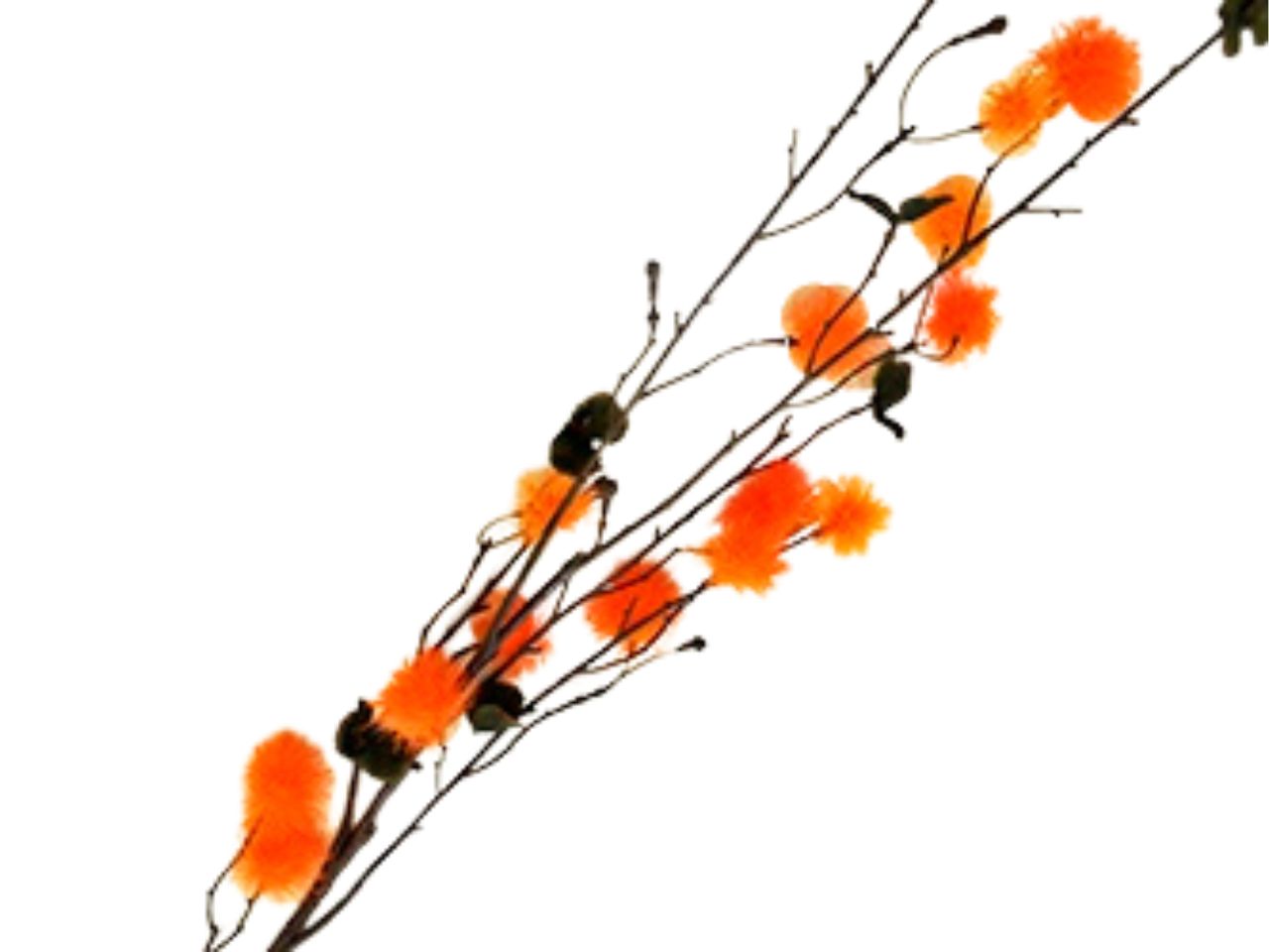 RAMO POMPON DS 15682