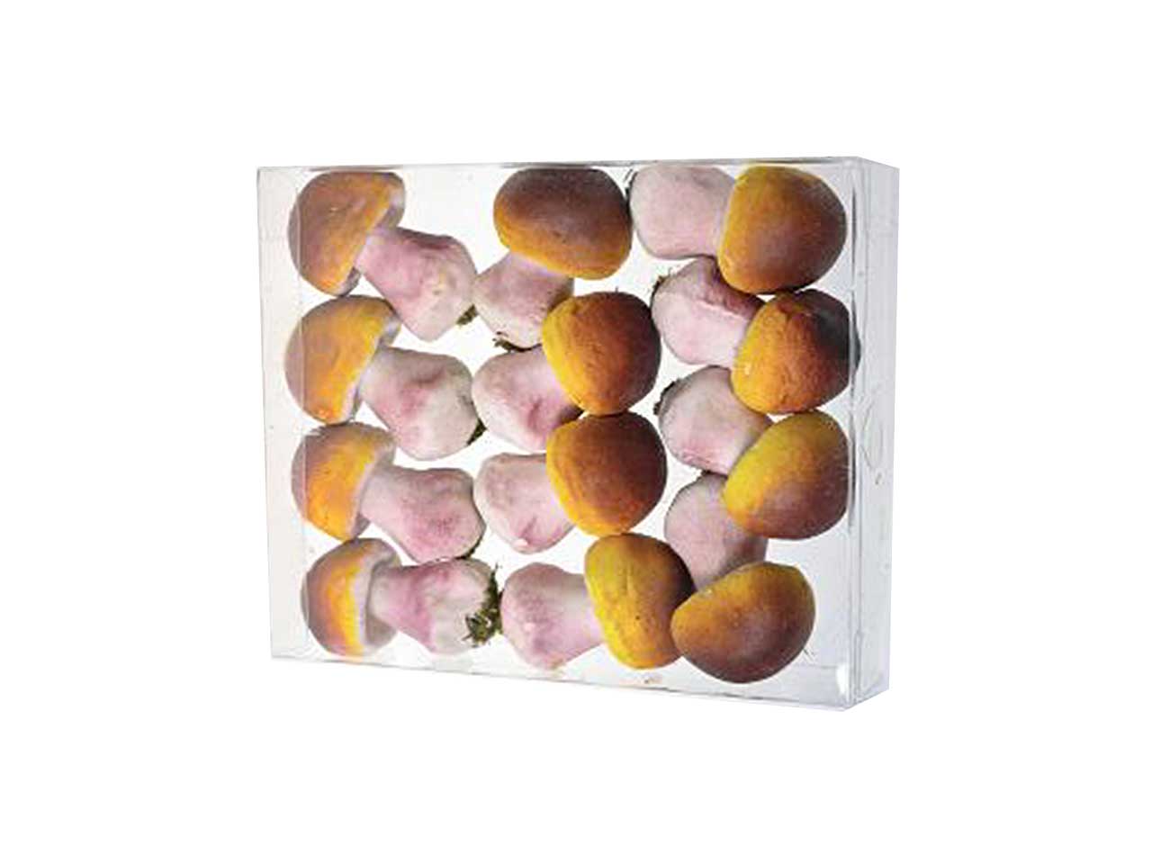 FUNGHI 12PEZZI DS 38180