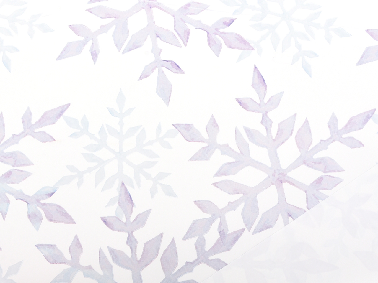 BOBINA 1X25MT ICY BIANCO ICY 001 125