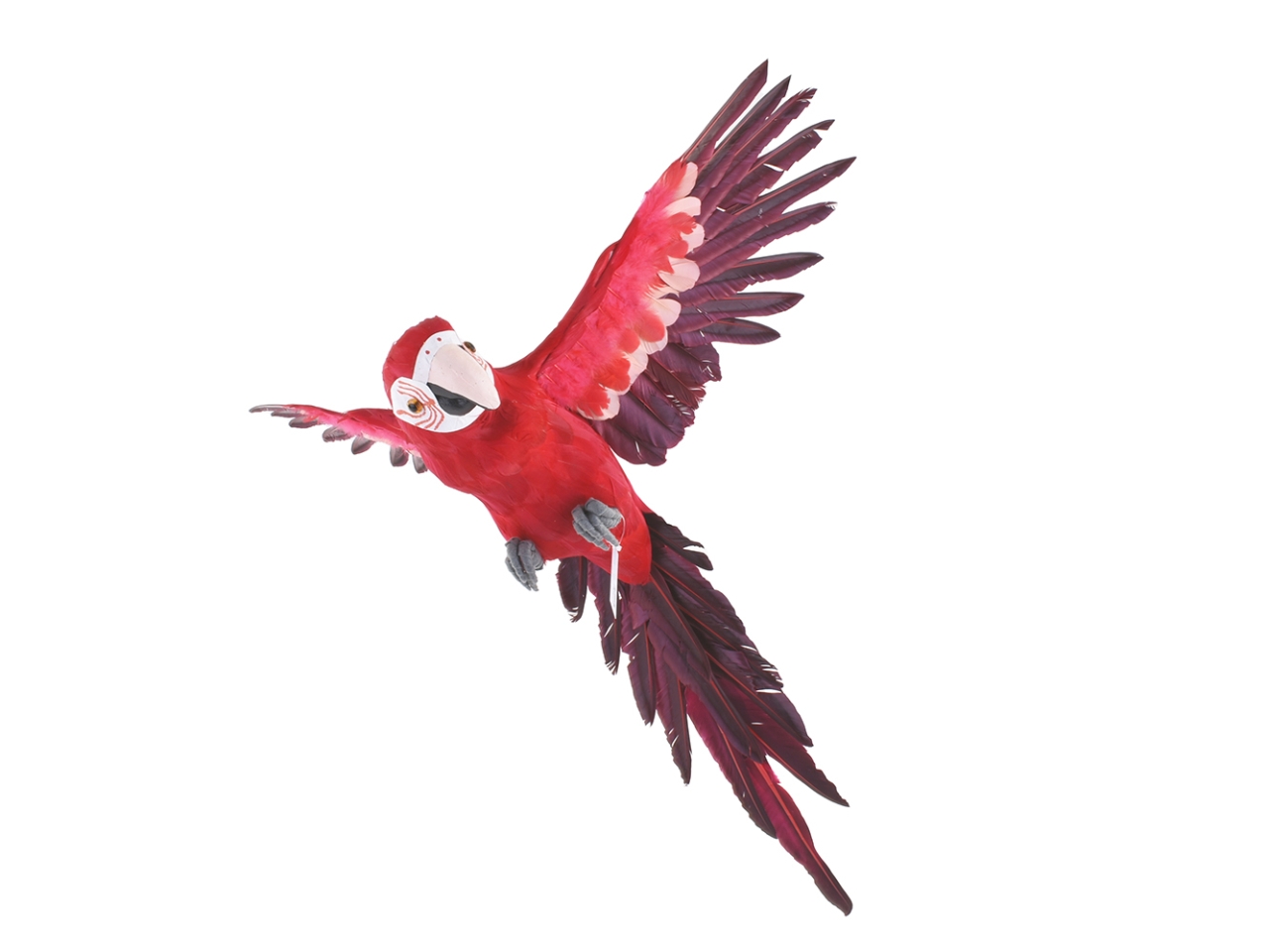 PAPPAGALLO 60X53X29CM DS 26443 05 PAPPAGALLO 60X53X29CM DS 26443 05