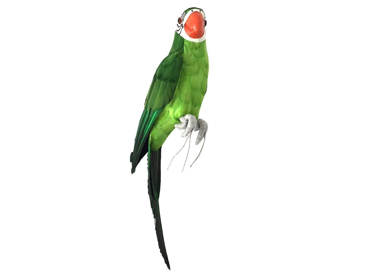 PAPAGALLO 42X10X13CM DS 26610 12 PAPAGALLO 42X10X13CM DS 26610 12