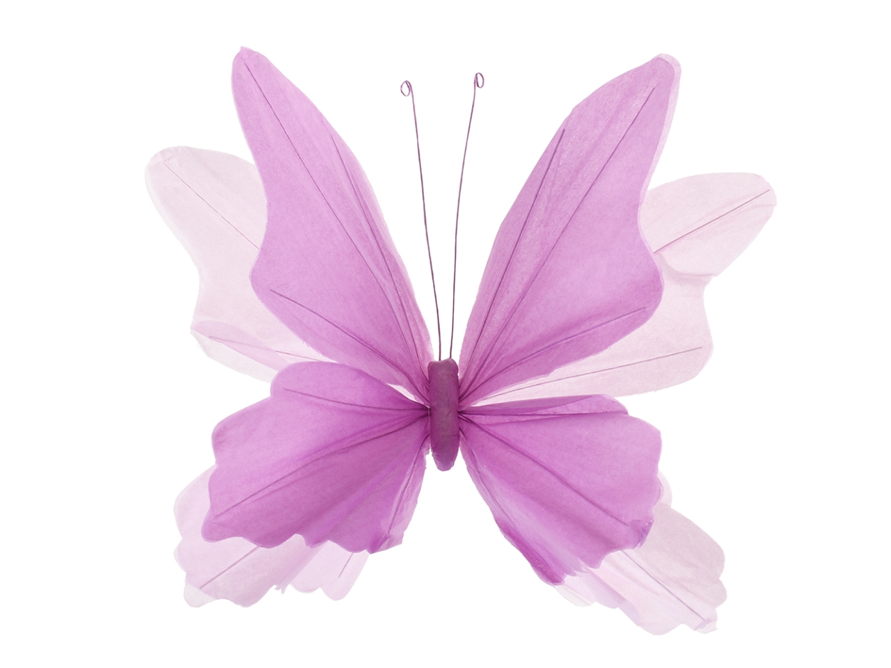 FARFALLA CARTA 40X28CM DS 27685 08