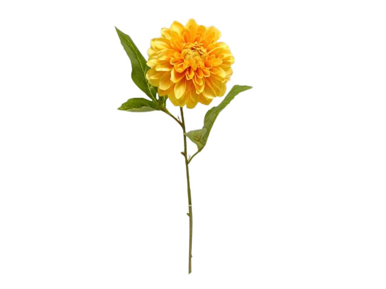 DALIA SINGOLA SPRUZZATA COLORE DS001391
