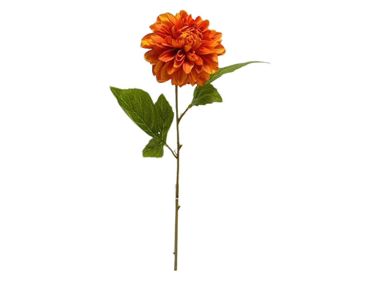 DALIA SPRUZ.49cm ARANCIO DS001391