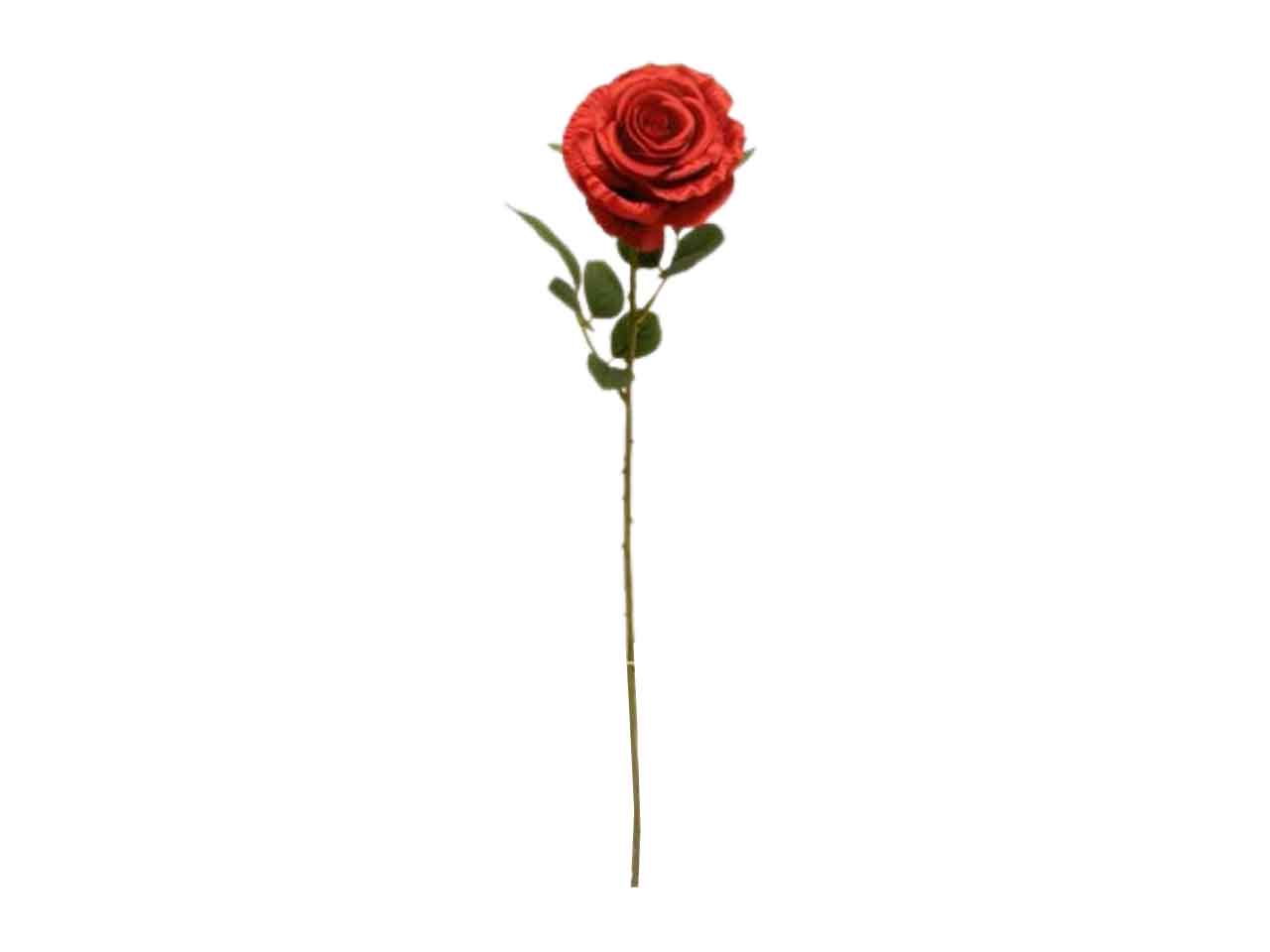 ROSA SINGOLA SPRUZZATA COLORE DS002039