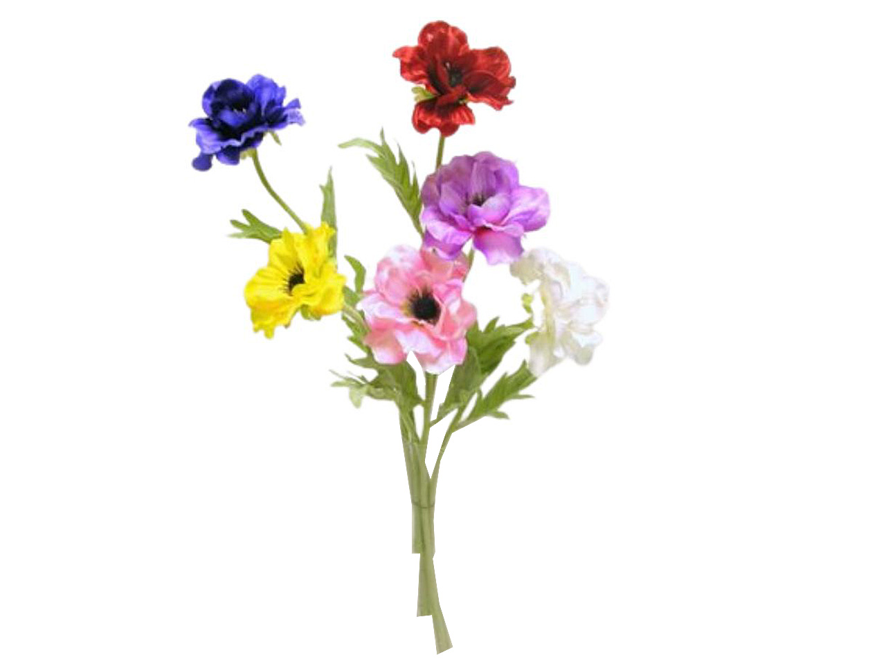 ANEMONE SINGOLO SPRUZZATO  44CM ASSORTITI DS000936