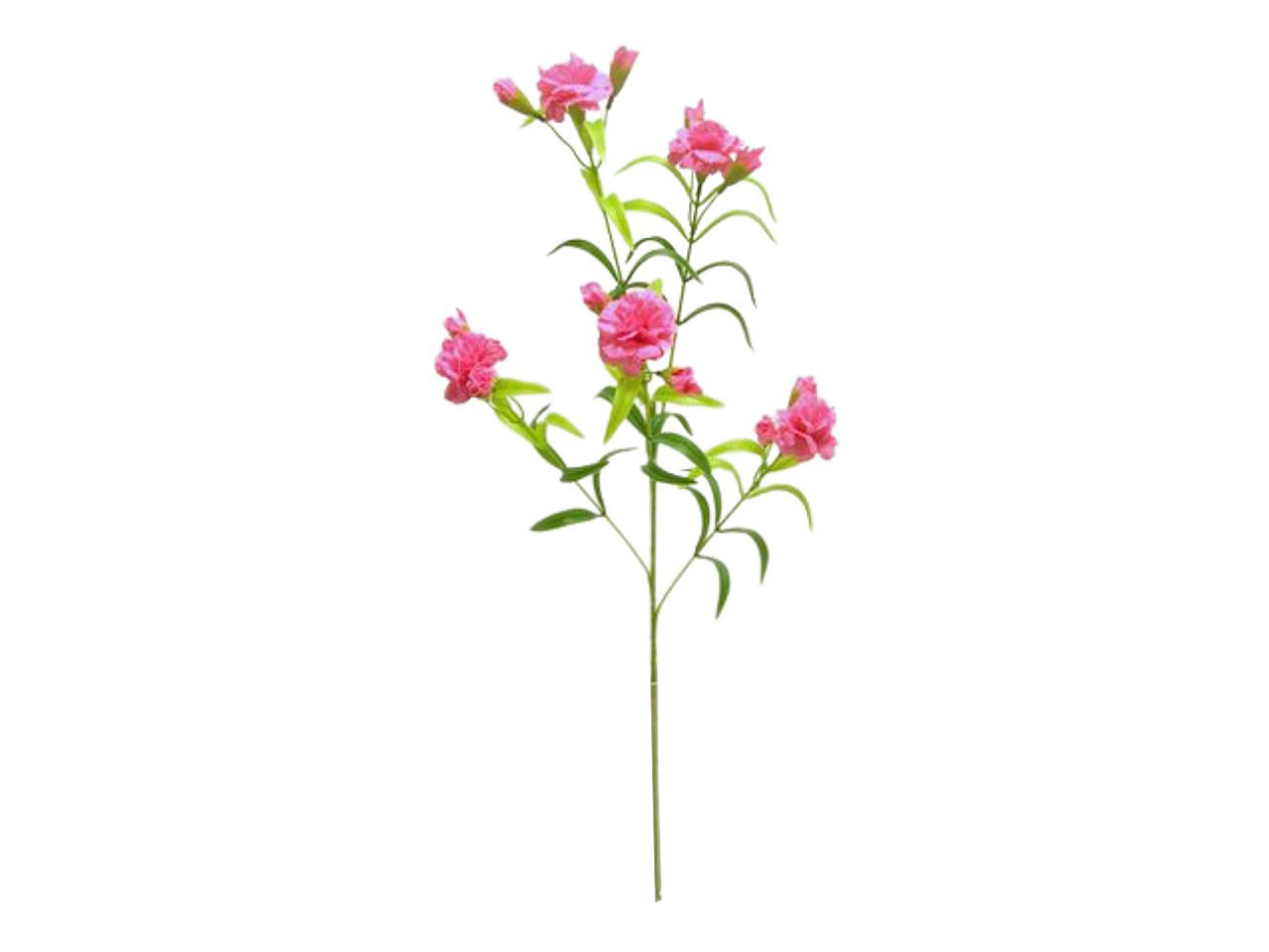 GAROFANO SPRUZZATO CON 5 FIORI DS002289
