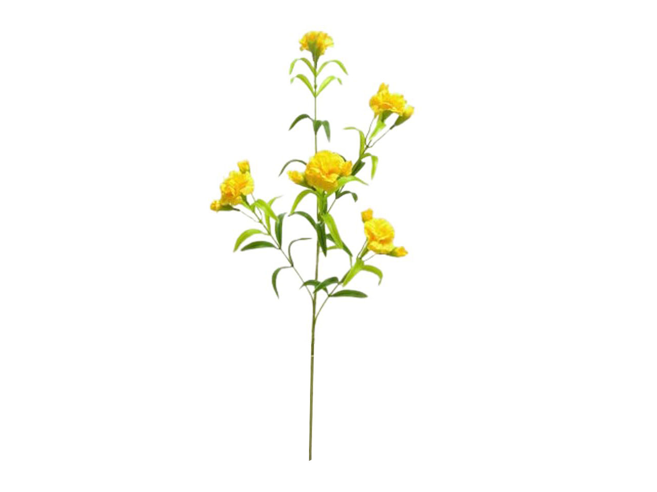 GAROFANO SPRUZZATO CON 5 FIORI DS002289