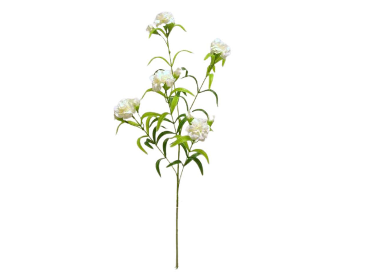GAROFANO SPRUZZATO CON 5 FIORI DS002289