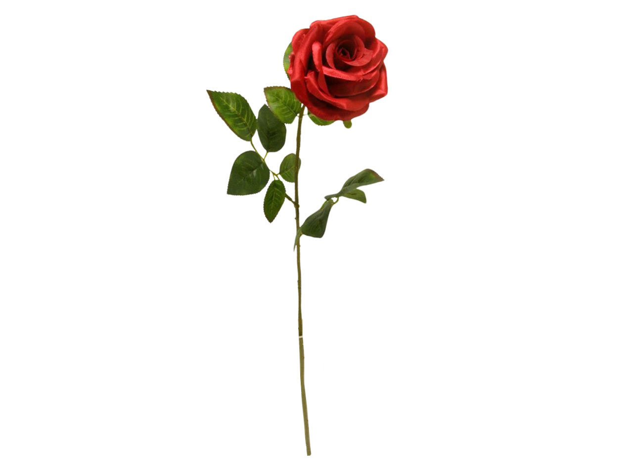 ROSA SPRUZZATA 68CM ROSSO DS003137