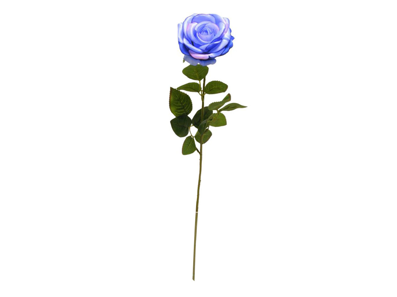ROSA SPRUZZATA 68CM BLU DS003137