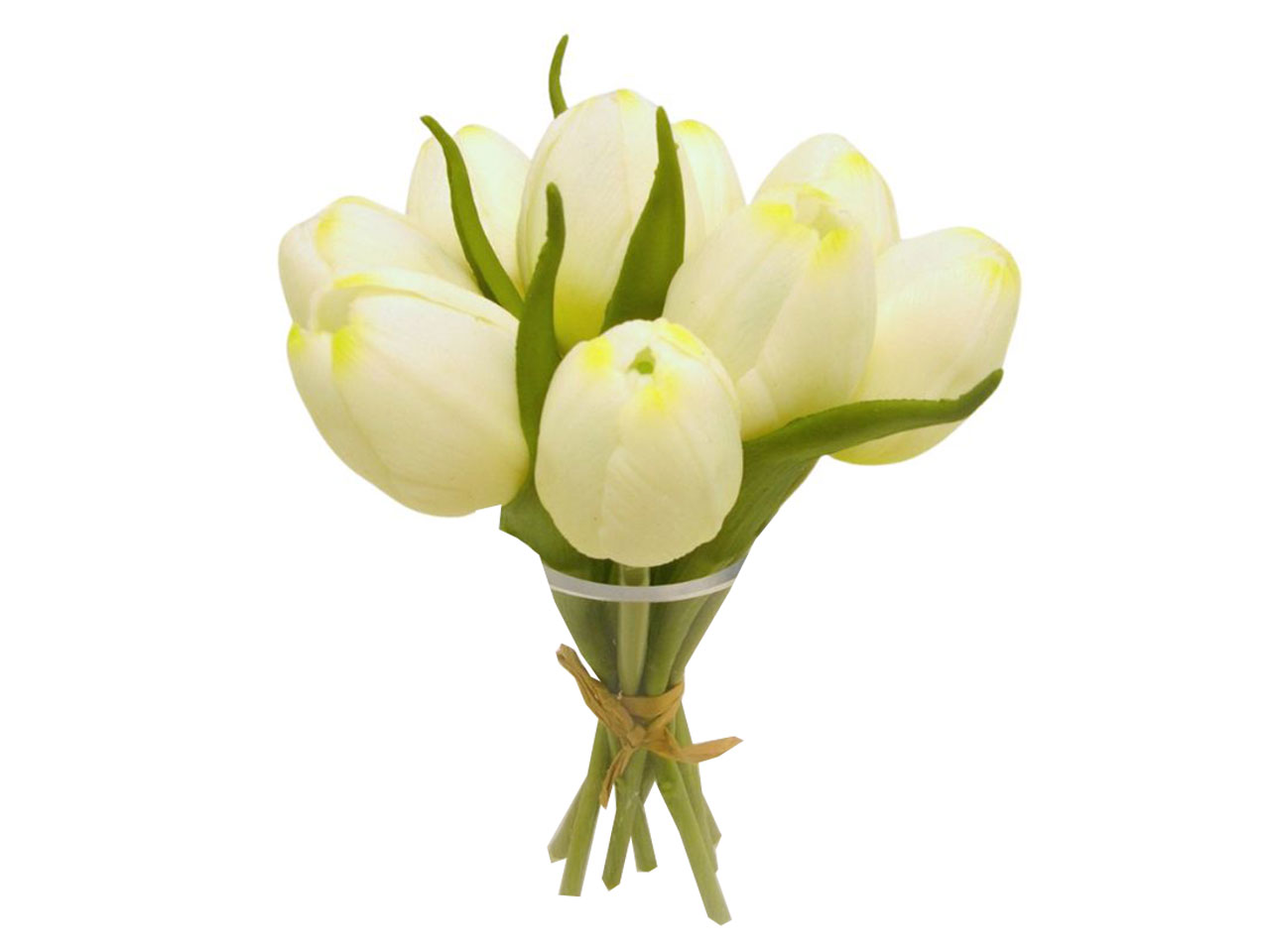TULIPANI MAZZO 7PZ CREMA DS003410