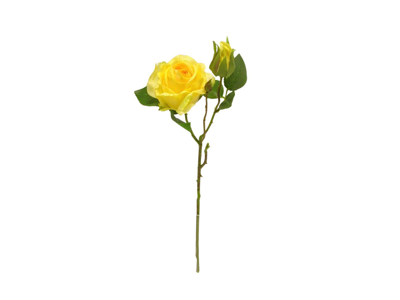 ROSE SPRUZZATA GIALLO DS003432