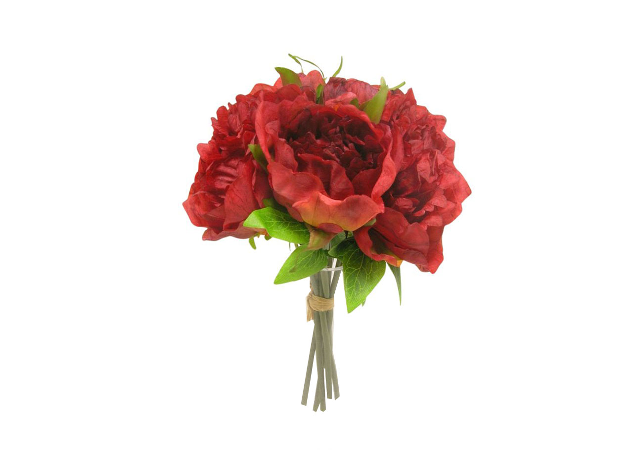 PEONIA MAZZO ROSSO DS003431