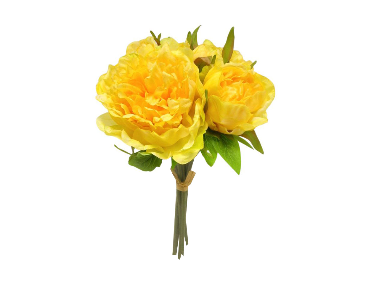 PEONIA MAZZO GIALLO DS003431