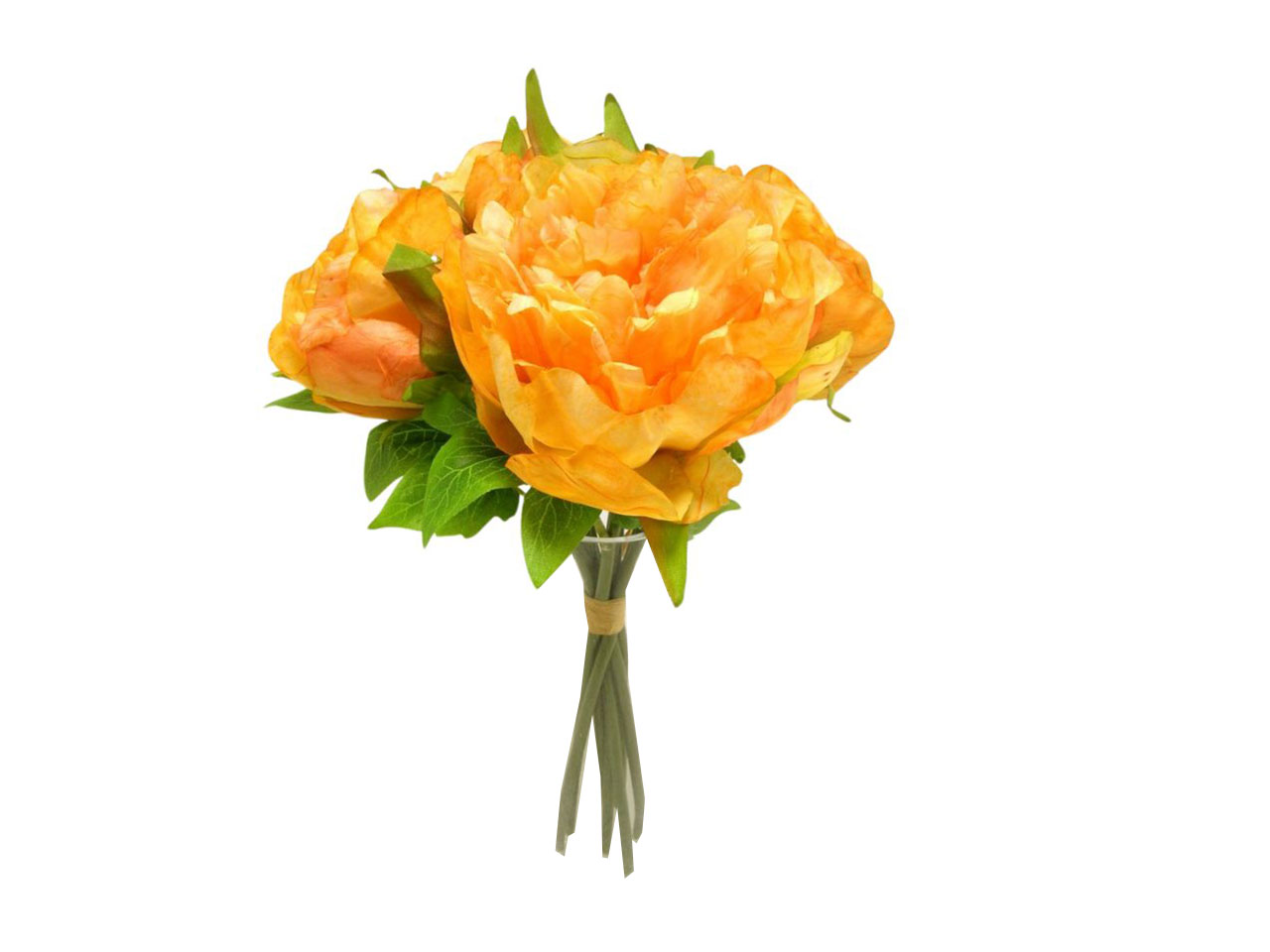 PEONIA MAZZO ORANGE DS003431