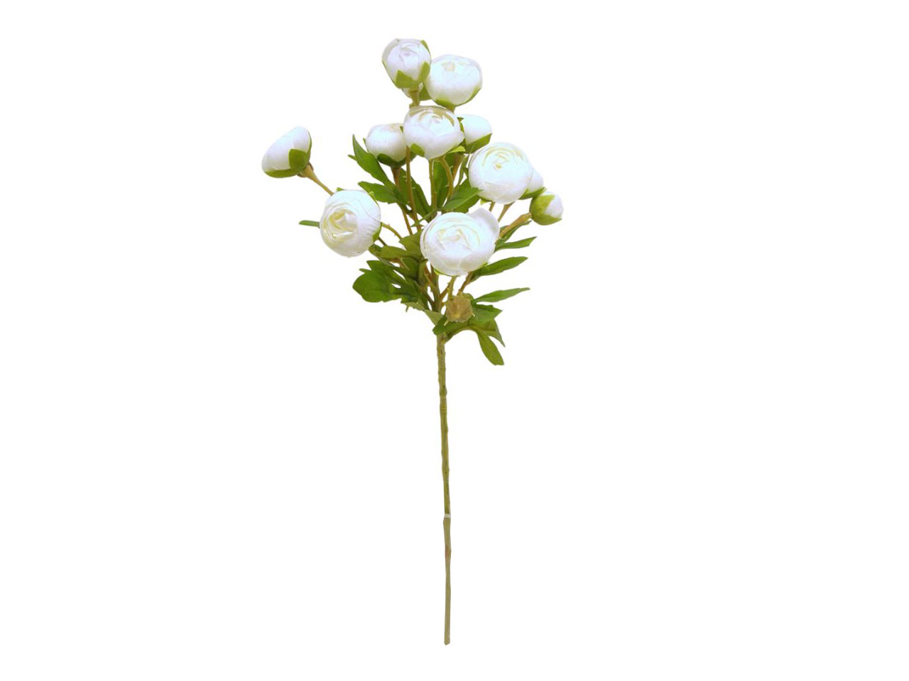 RANUNCULUS SPRUZ. 56CM CREMA DS003165