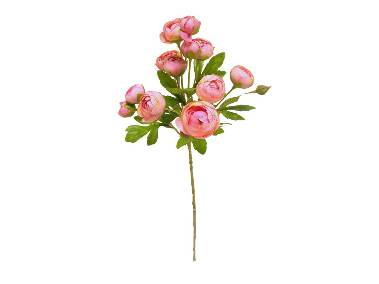 RANUNCULUS SPRUZ. 56CM FUXIA DS003165