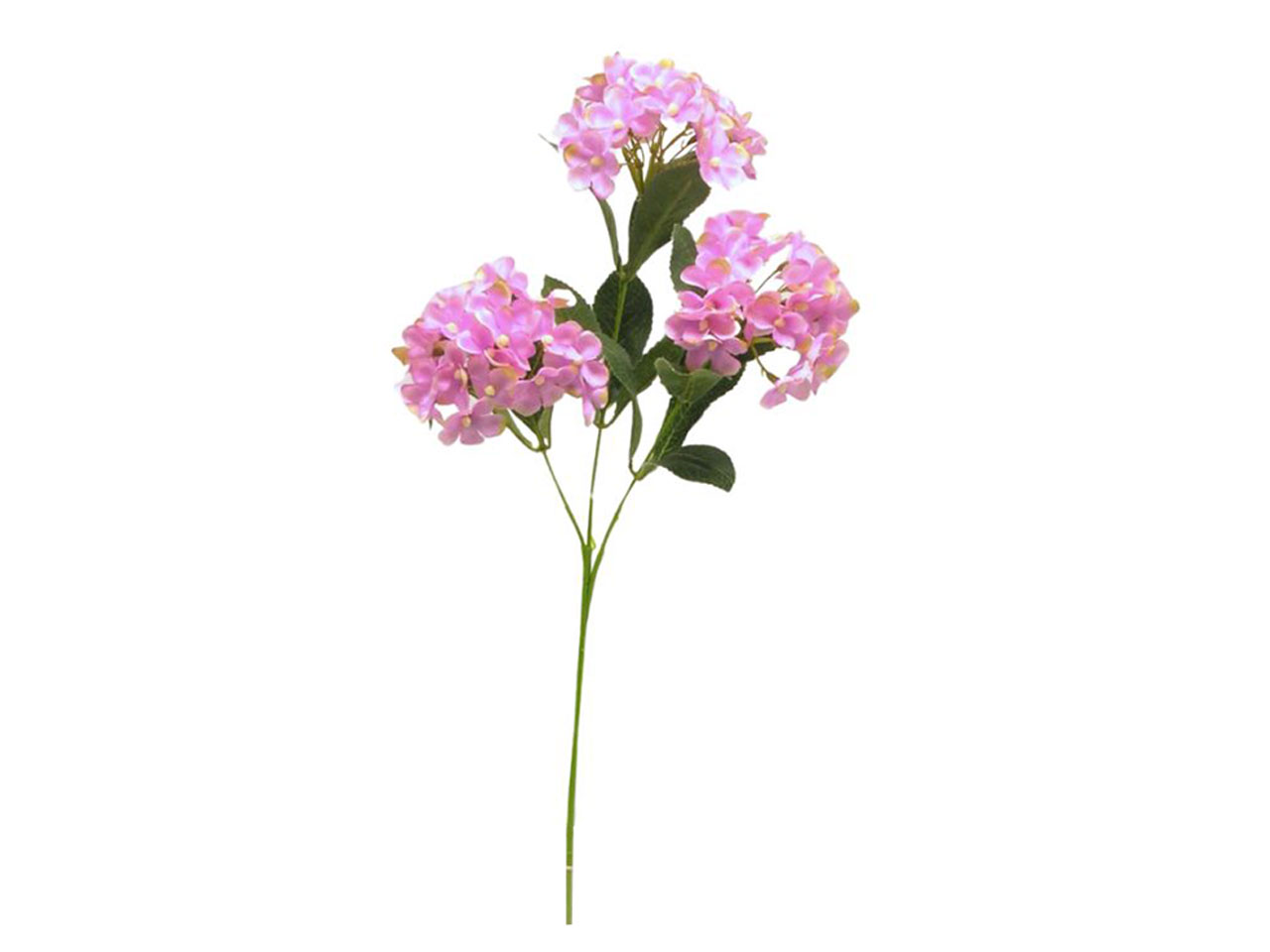 PALLA DI ORTENSIA X3 CM70 ROSA DS003257