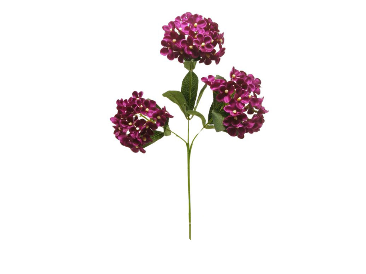 PALLA ORTENSIA X3 CM70 FUXIA DS003257