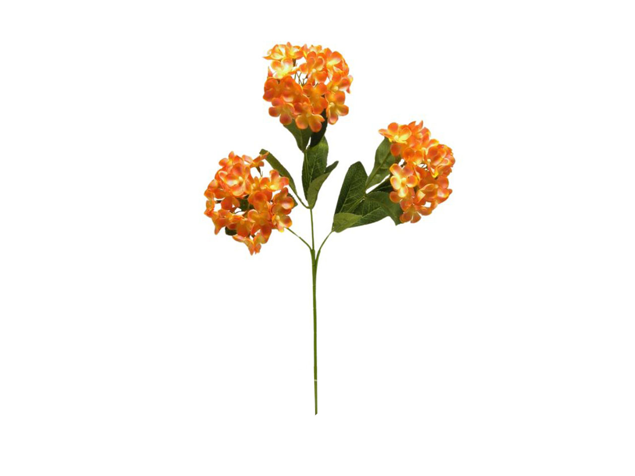 PALLA ORTENSIA X3 CM70 ORANGE DS003257