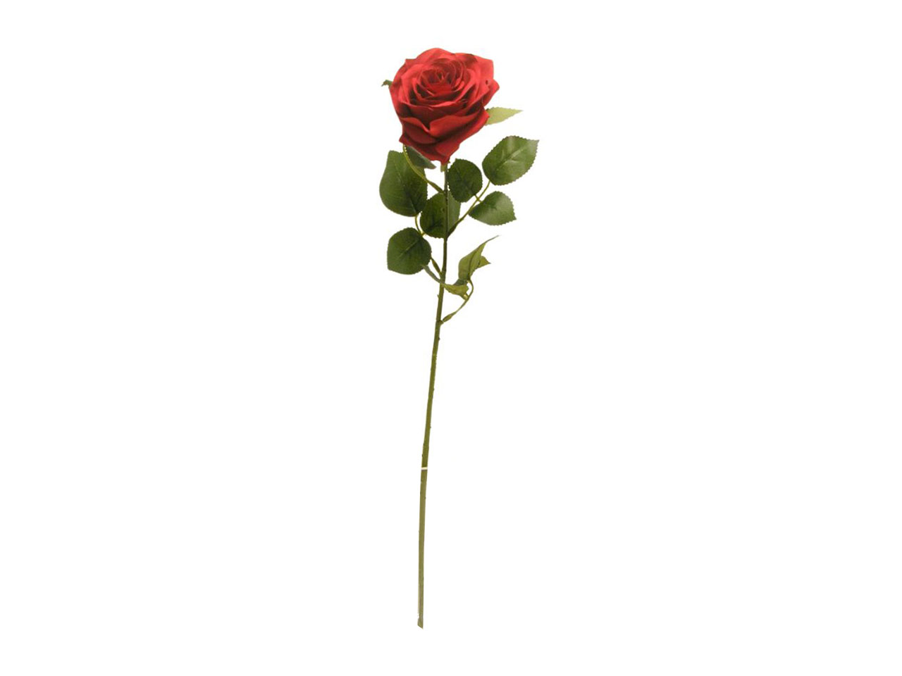 ROSA SPRUZZATA 63CM ROSSO DS003308
