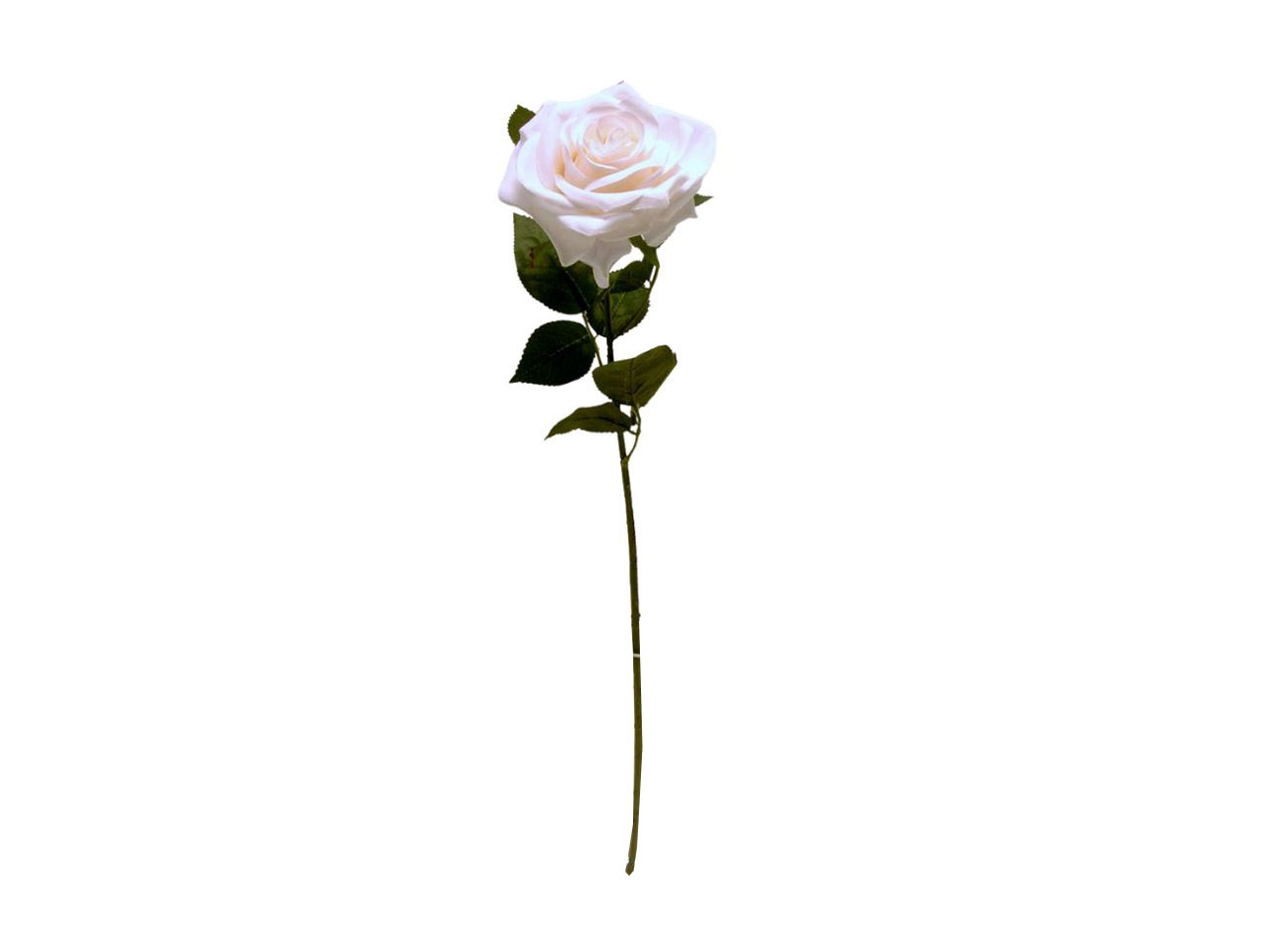 ROSA SPRUZZATA 63CM CREMA DS003308