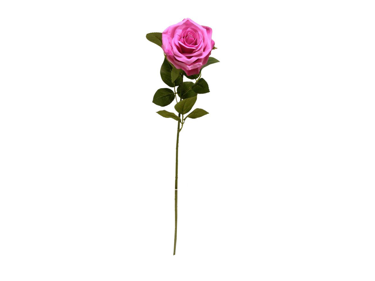 ROSA SPRUZZATA 63CMFUXIA DS003308