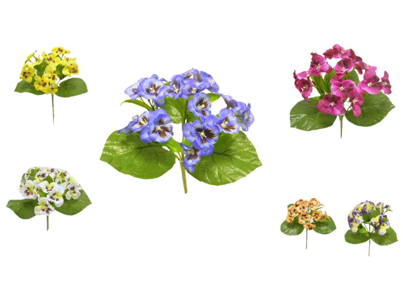 VIOLA DEL PENSIERO CESP.6 RAMI 23CM ASS.DS003255