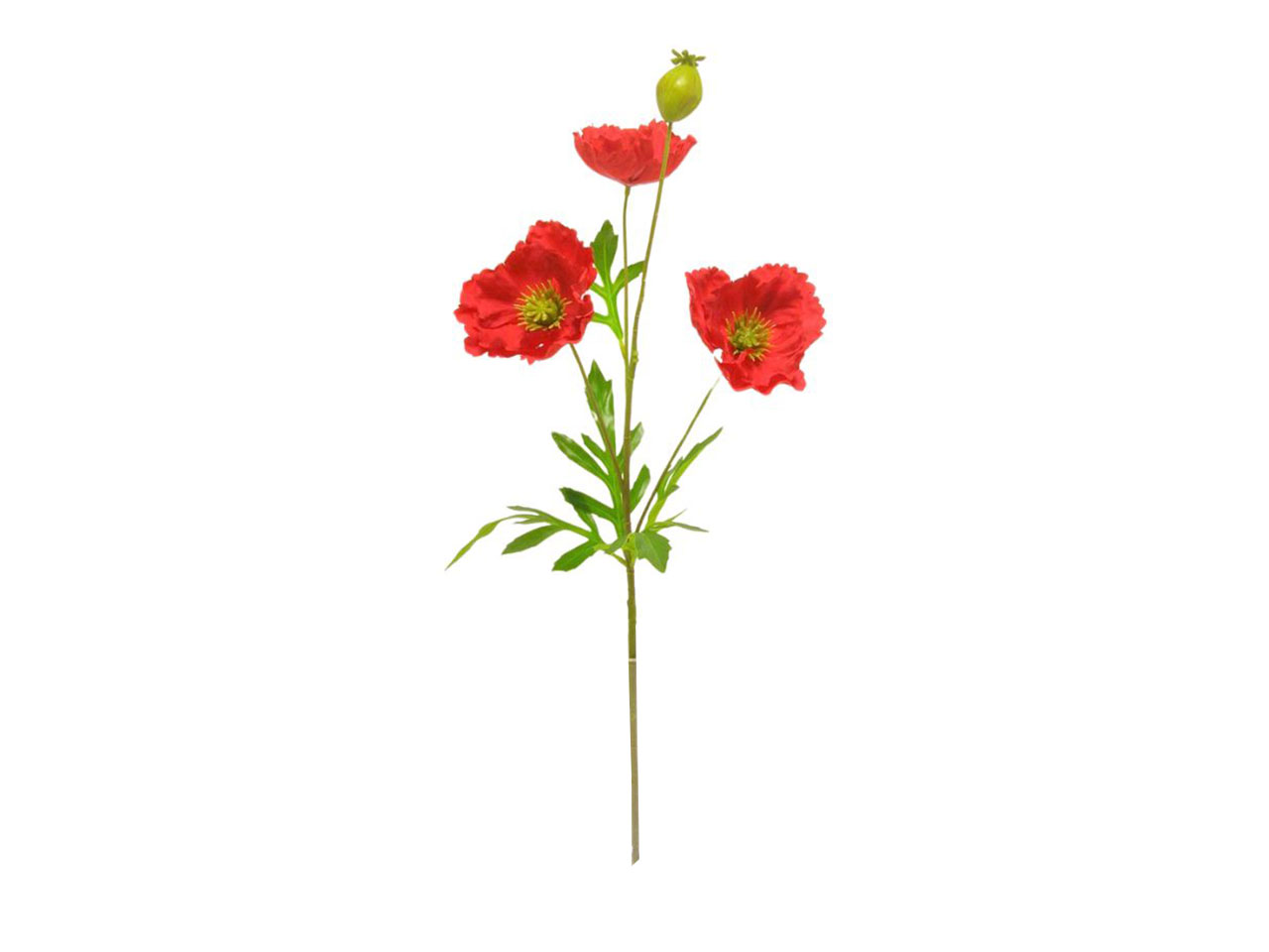 PAPAVERO SPRUZZATO ROSSO DS003367 PAPAVERO SPRUZZATO ROSSO DS003367