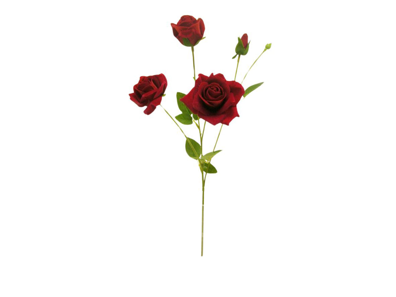 ROSA VELLUTATA SPRUZ. ROSSA DS003307