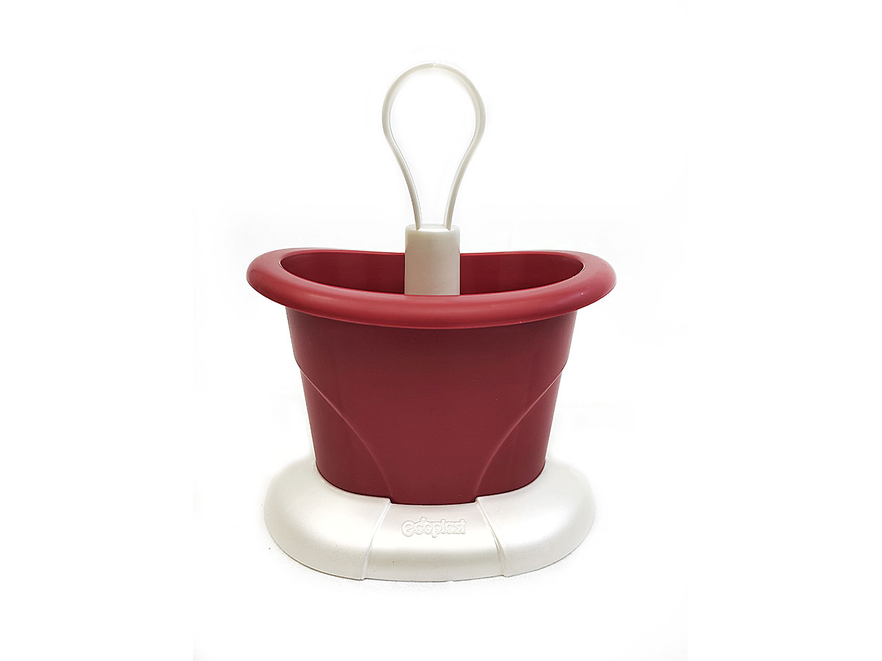 L.TULIPANO ROSSO VENEZIANO SCOLAPOSATE SPT