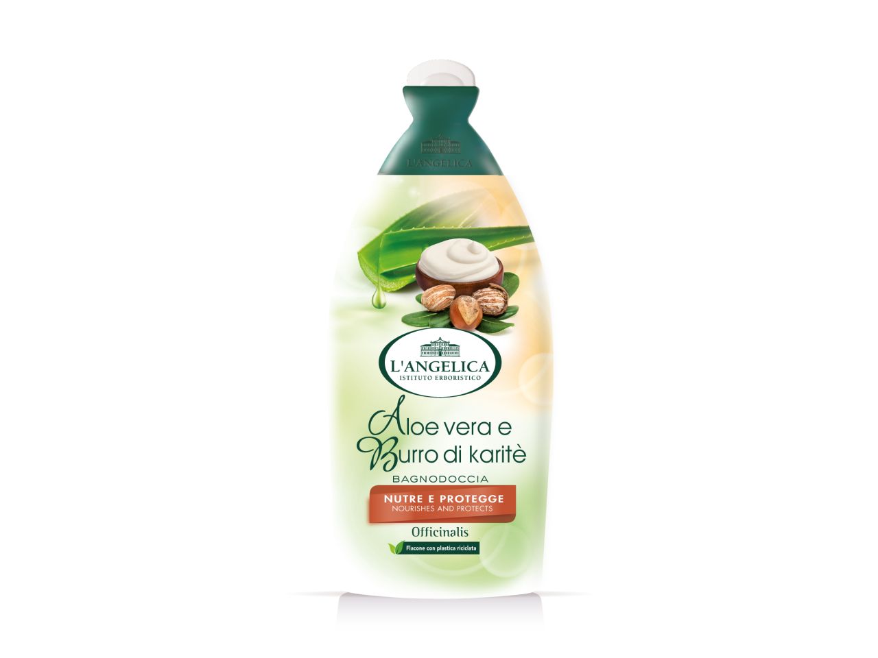 BAGNOSCHIUMA OFFICINALIS FRAG GA1955500$ BAGNOSCHIUMA OFFICINALIS FRAG GA1955500$