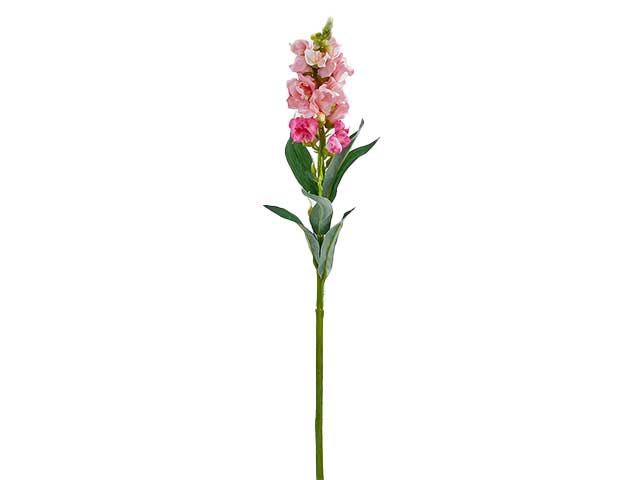 BOCCADILEONE REX RAMO H59 ROSA 212965,5 BOCCADILEONE REX RAMO H59 ROSA 212965,5