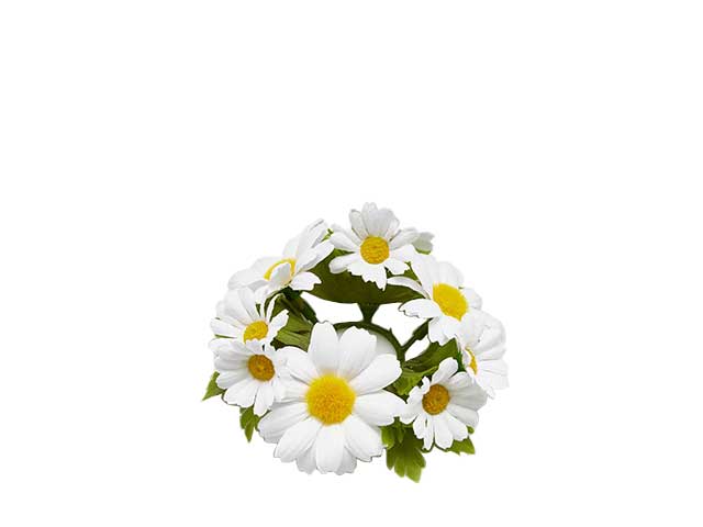 GIROCANDELA MARGHERITA 12cm 215921.10