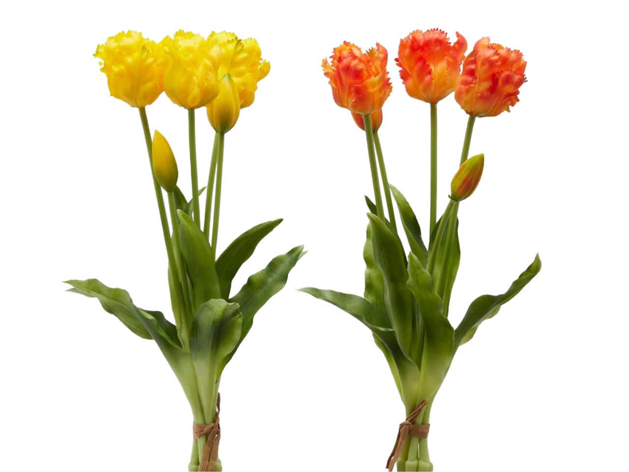 MAZZO DI TULIPANI OLIS 5 PEZZ 216004,26