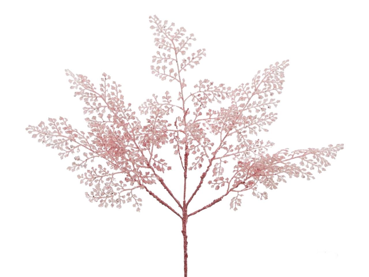 FELCE GLITTERATA CESPUGLIO M 684967,510