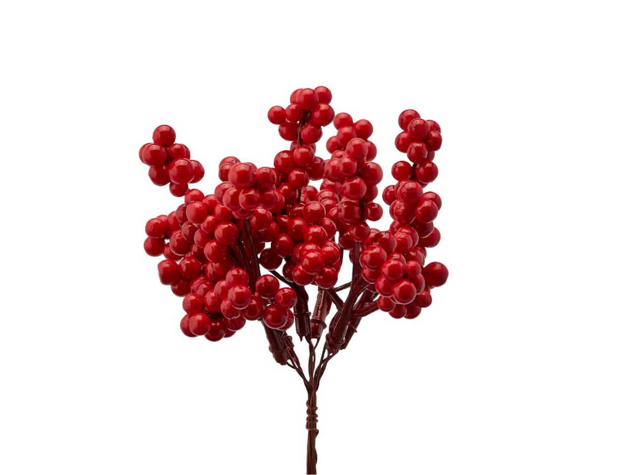RAMO ILEX CESPUGLIO MISURA H 685249,400