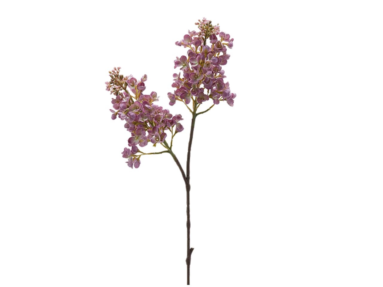 LILLA’ RAMO X2 H.68CM MAUVE 2100129A662