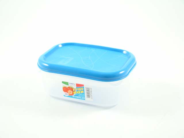 FRIGO BOX RETTANGOLARE 1Lt 0069/100