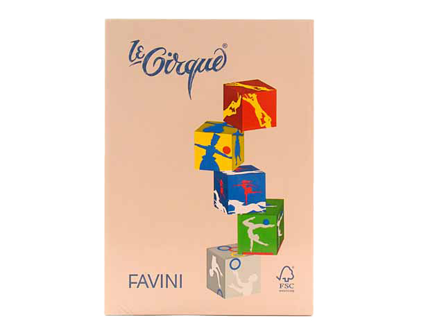 RISMA CARTA CIRQUE 80gr SALMONE A715504