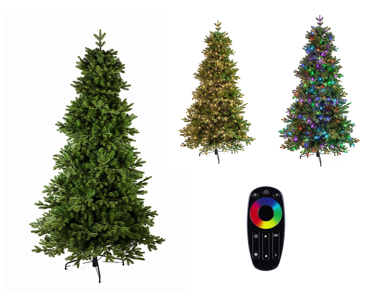 ALBERO POLY KING PEAK BLUET.210CM 124CM 64058