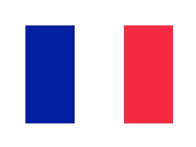 BANDIERA FRANCIA 150X90 +ASTA