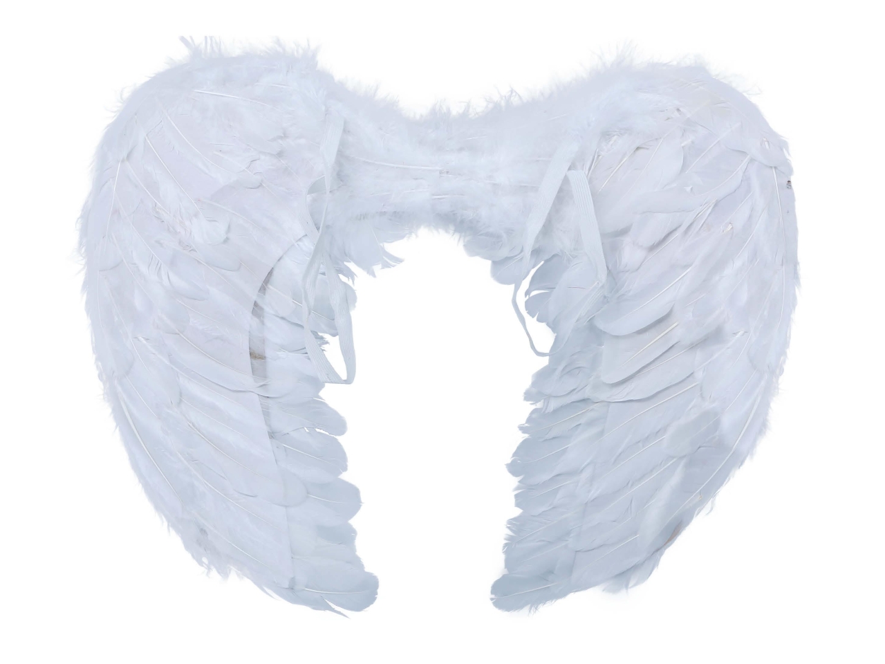 ALI PIUME BIANCHE 60x40CM 16885