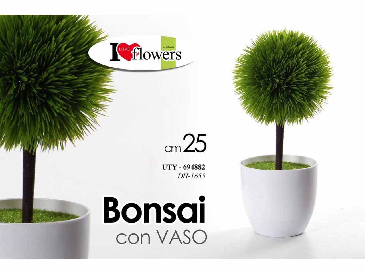 PIANTINA BONSAI 25cm 694882