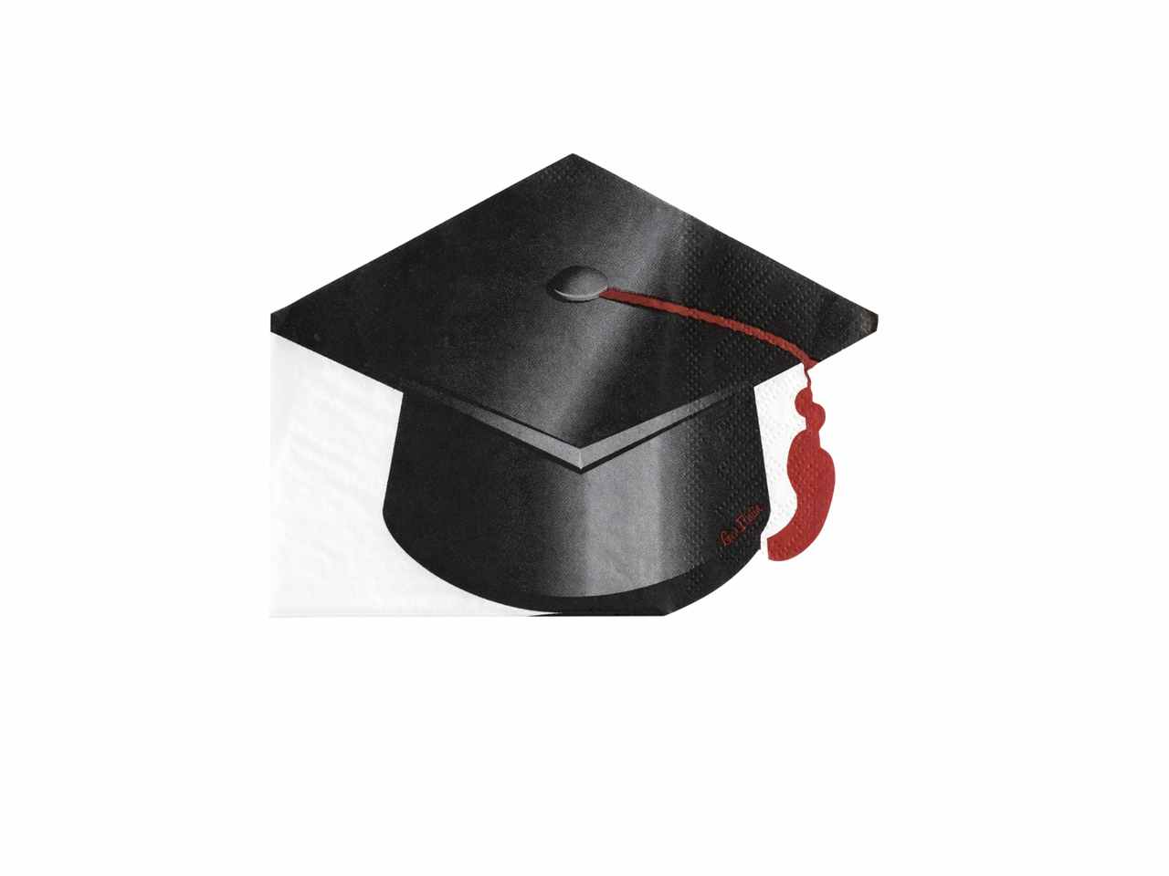 TOVAGLIOLI SAGOMATI LAUREA 16pz 33x25cm64115 TOVAGLIOLI SAGOMATI LAUREA 16pz 33x25cm64115