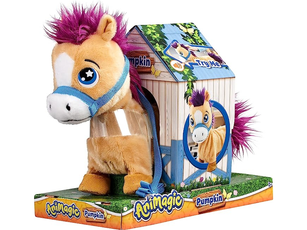 PUMPKIN – THE PONY 926876.006