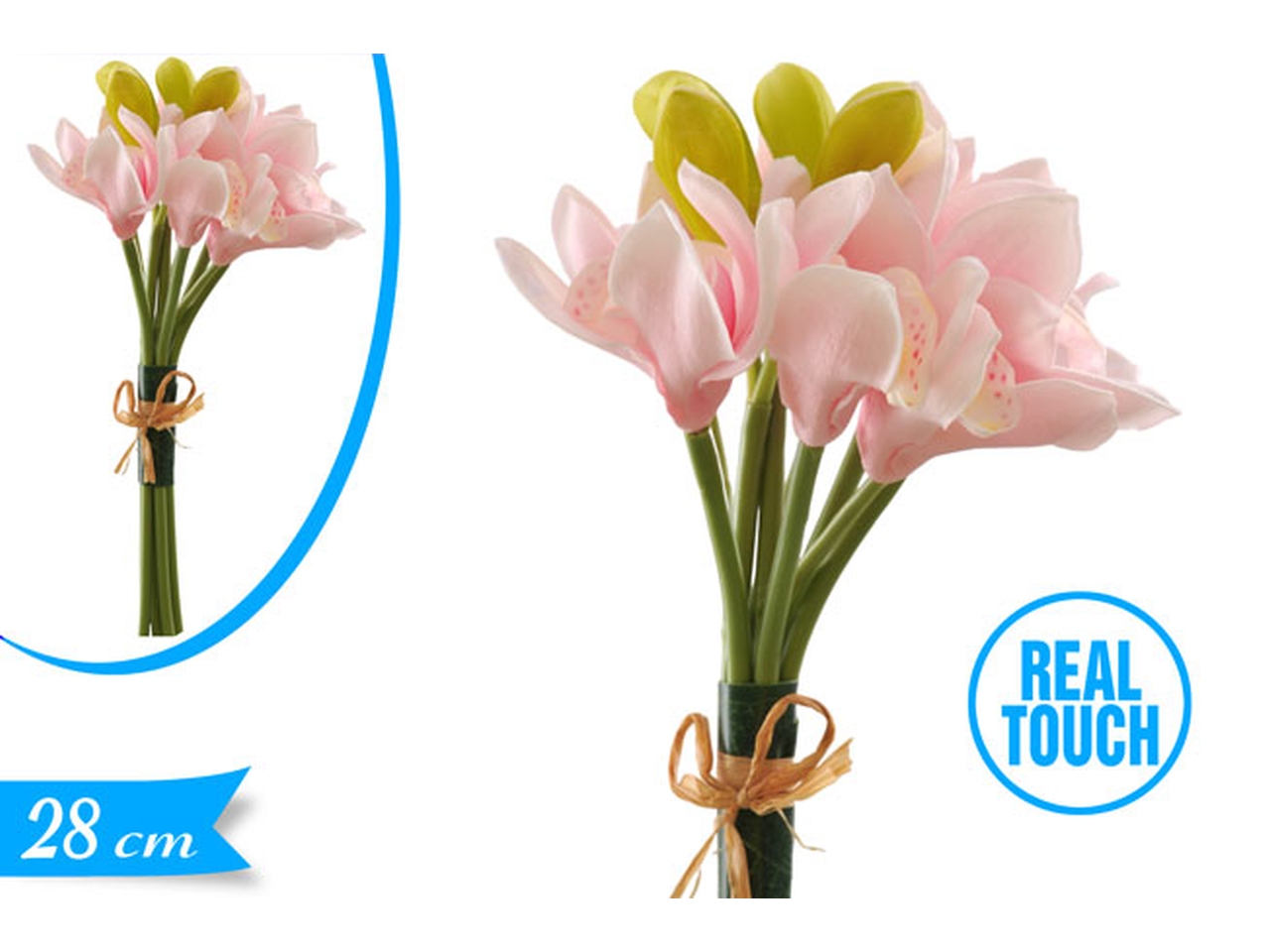 MAZZETTO ORCHIDEA GOMMA ROSA 740873168 MAZZETTO ORCHIDEA GOMMA ROSA 740873168