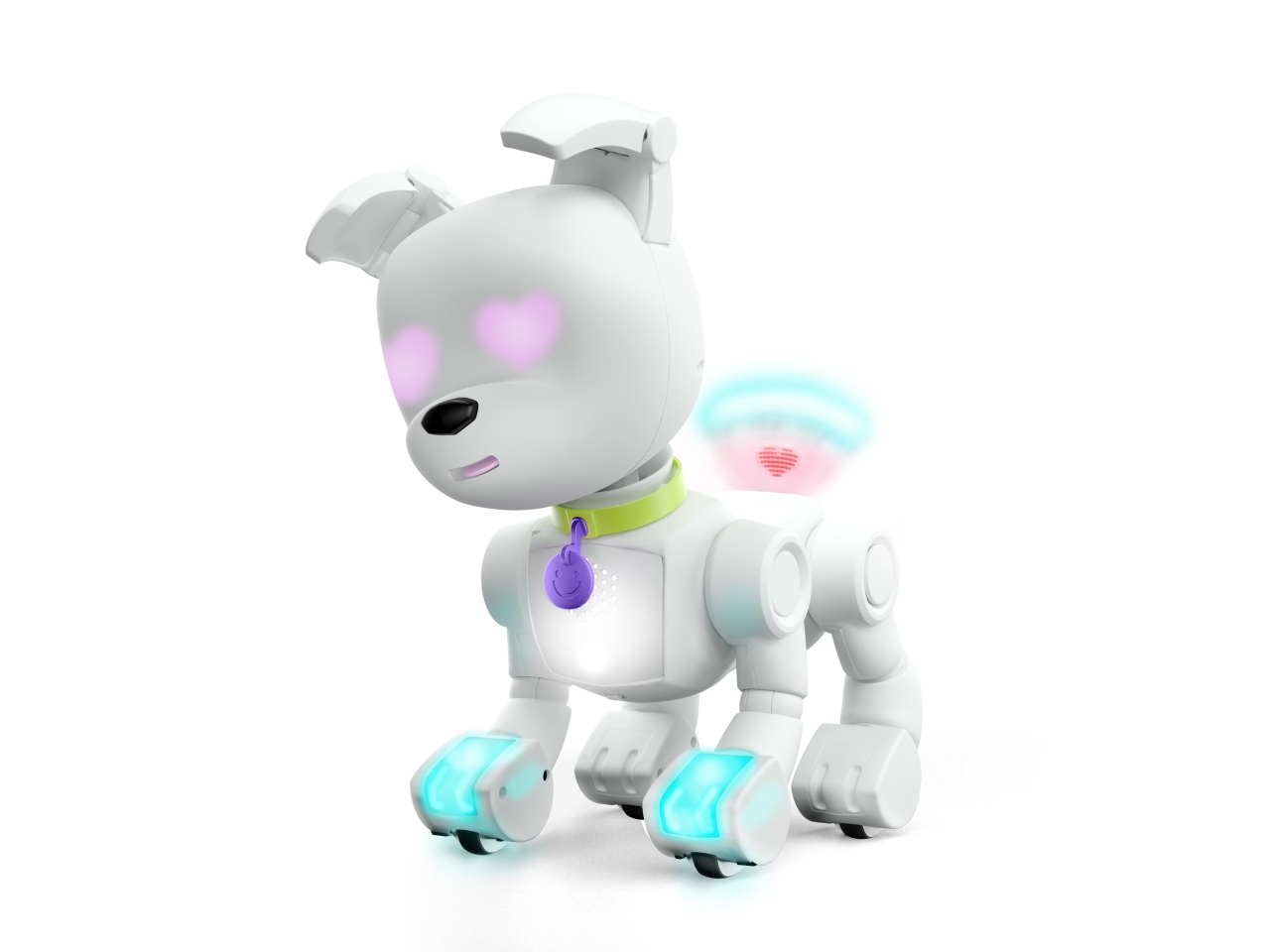 MINTID DOG-E MTD00000$