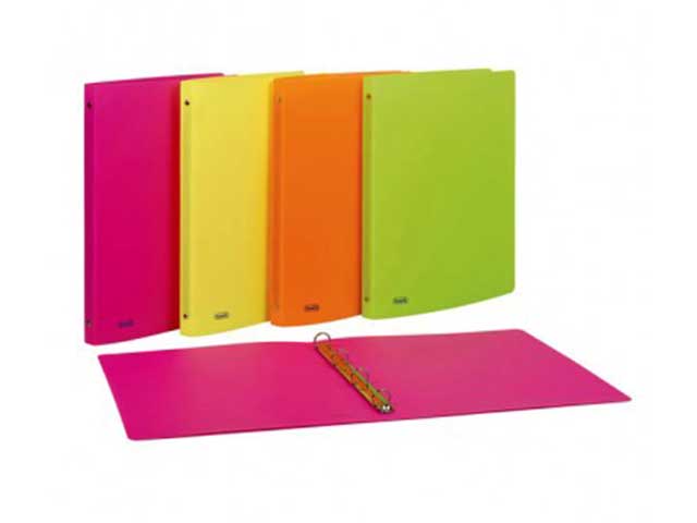 L.NEON RACCOGLITORE 22×30 D15 400066847